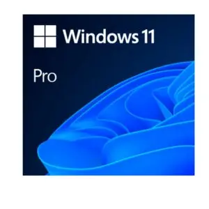 Sistema Operativo Microsoft Windows 11 Pro 64-Bit Spanish Latam Oem Dvd