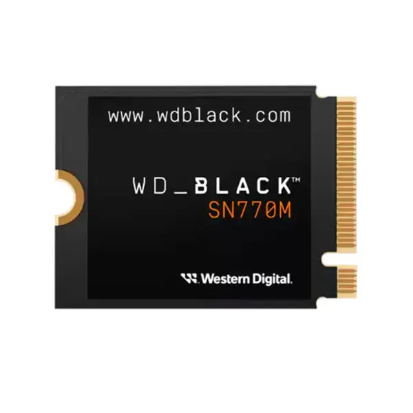 ssdwds100t3x0g.jpg