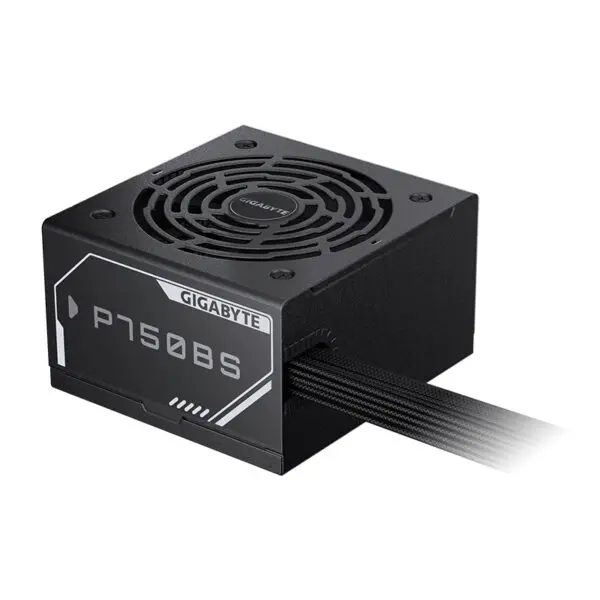 psgbp750bs.jpg