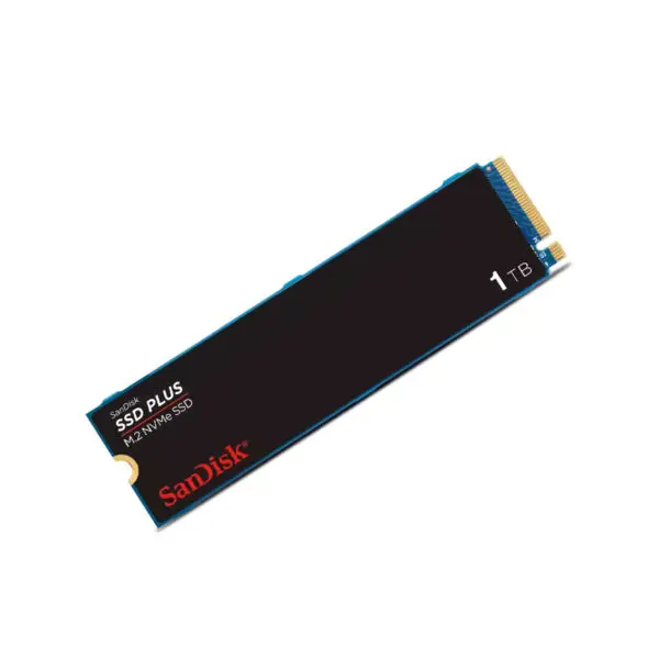 ssdsdssda3n1t0g_1.jpg