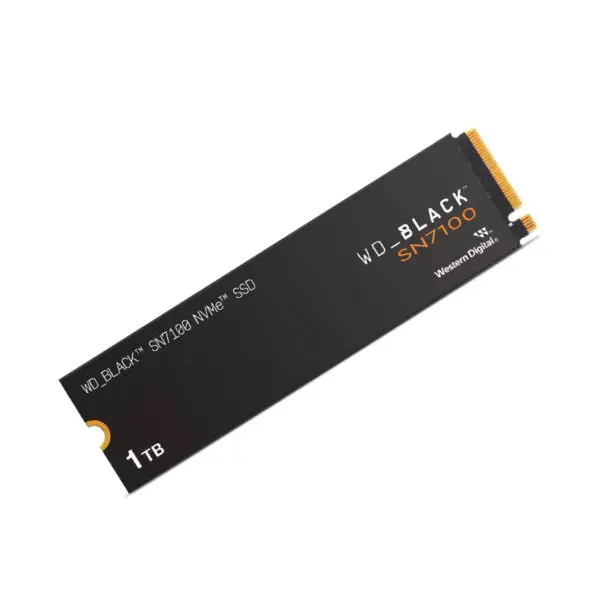 ssdwds100t4x0e.jpg