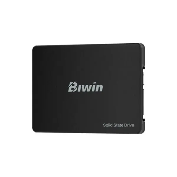 ssd256gbwm100.jpg